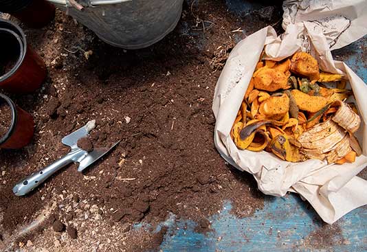 Taller sobre compost y reciclaje orgánico en Escuela Verde