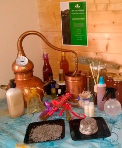 Alambique de cobre en Escuela Verde para taller de plantas