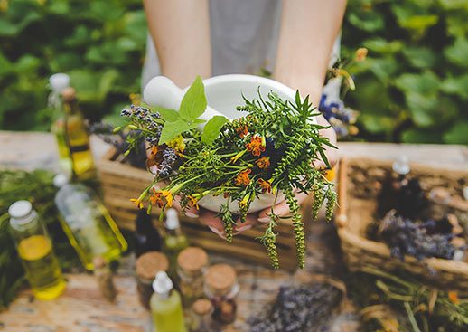 Taller de uso de plantas medicinales en Zaragoza