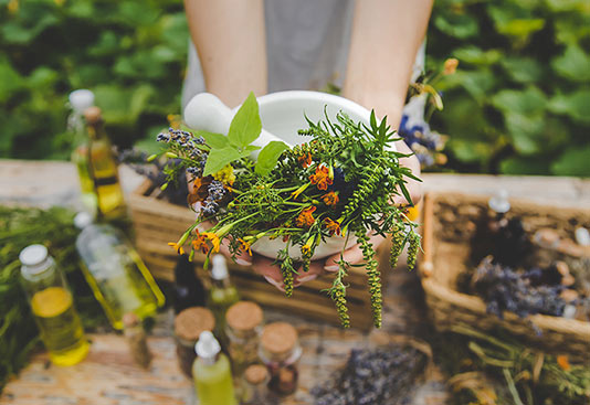 Taller de uso de plantas medicinales en Zaragoza