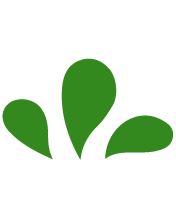logo de Escuela Verde