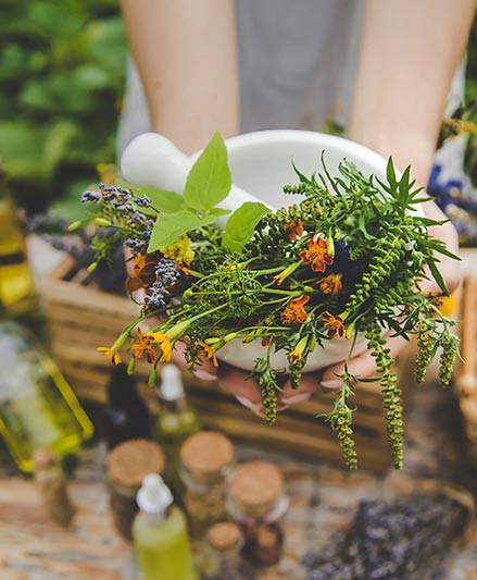 Taller plantas medicinales de Escuela Verde en Biel