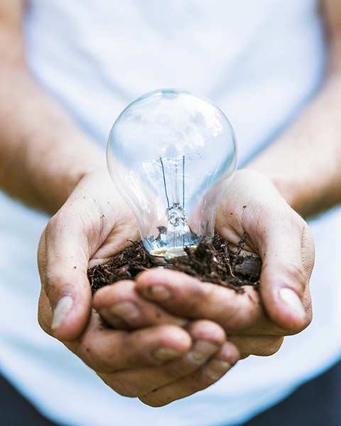 Energías limpias en Escuela Verde